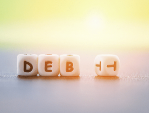 Minimize Debt – Borrow Only What You Need